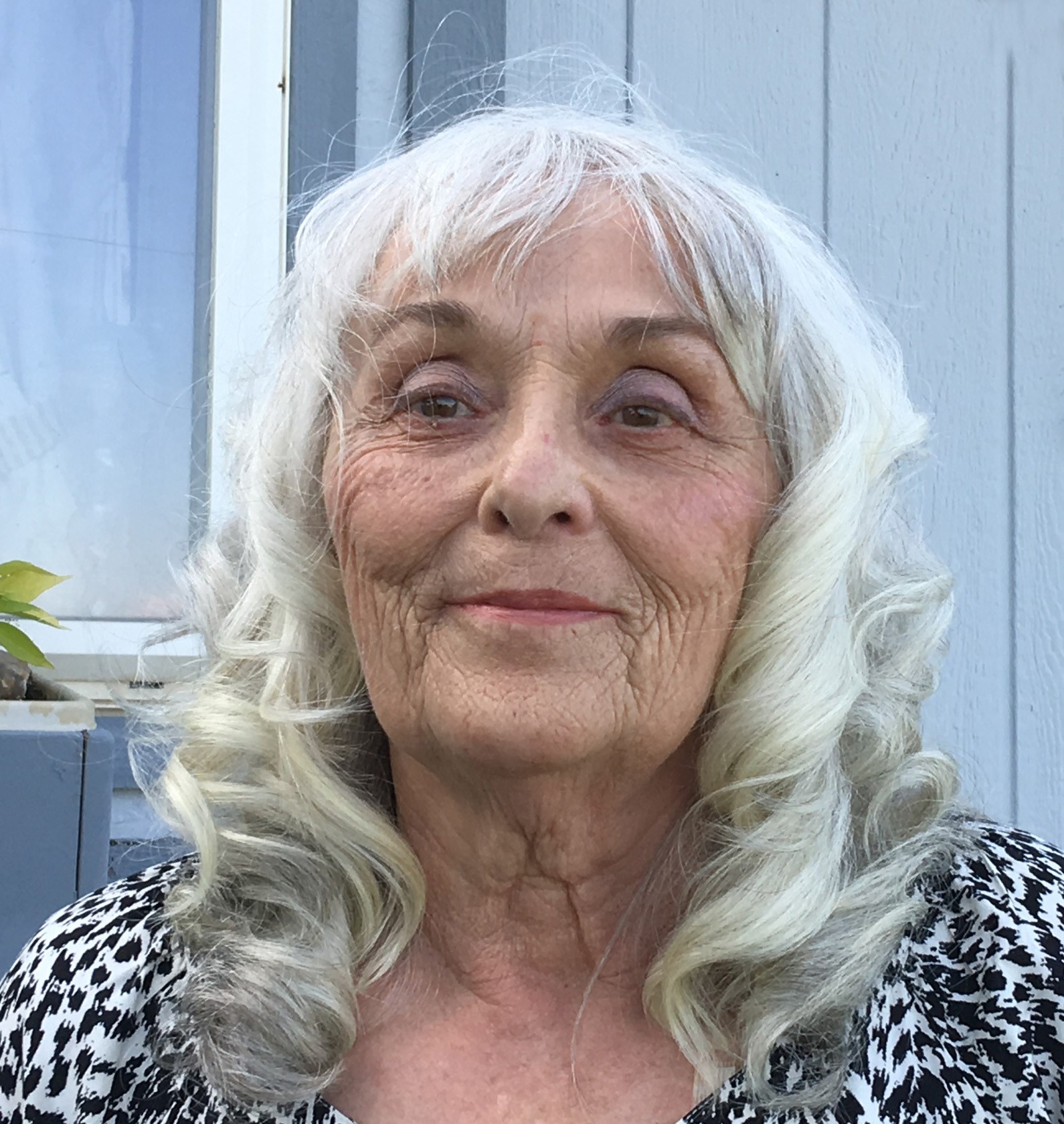 Dixie Ann (Hranac) Barkes